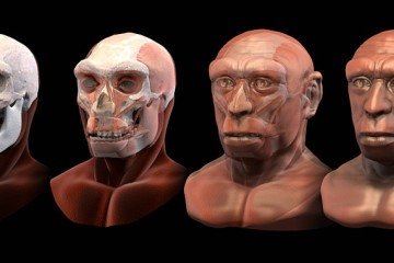 O Homo heidelbergensis conviveu com o Sapiens na África e em outras regiões, e é forte candidato a ser a misteriosa População B
 -  (crédito: Cicero Moraes/Divulgação )