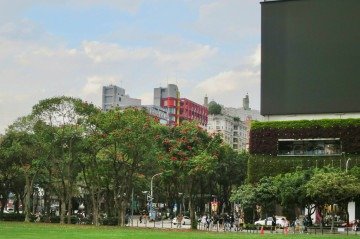 A escassez de áreas verdes é mais perceptível nas periferias urbanas, onde a falta de infraestrutura verde reflete em desigualdades sociais -  (crédito: Ruby Huang/Unsplash)