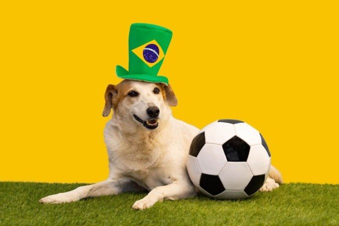 Colocar nome de jogador no seu cachorro pode ser uma forma divertida de celebrar duas paixões: pets e futebol (Imagem: Gabriela Bertolini | Shutterstock) - (crédito: EdiCase) Colocar nome de jogador no seu cachorro pode ser uma forma divertida de celebrar duas paixões: pets e futebol (Imagem: Gabriela Bertolini | Shutterstock) - (crédito: EdiCase)