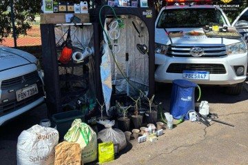Polícia Militar encontra laboratório de cultivo de maconha durante ocorrência de violência doméstica.  -  (crédito: PMDF)