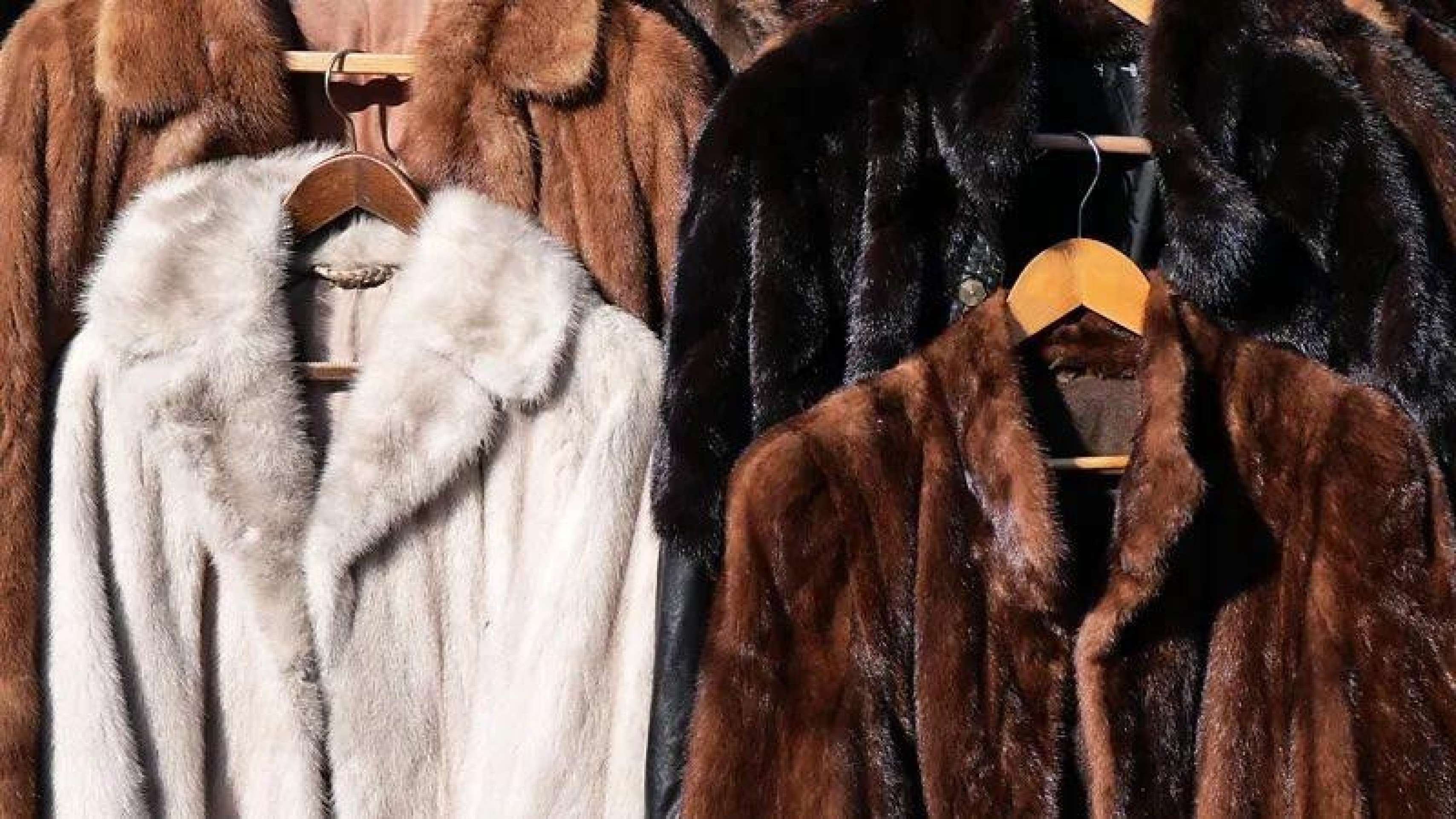 Peles estão de volta à moda — e mais polêmicas do que nunca