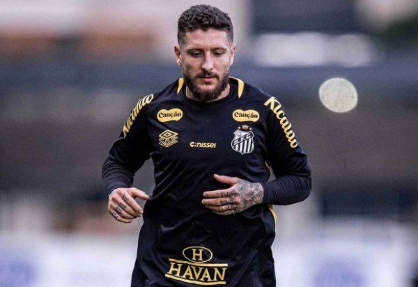 Foto: Raul Baretta/Santos FC