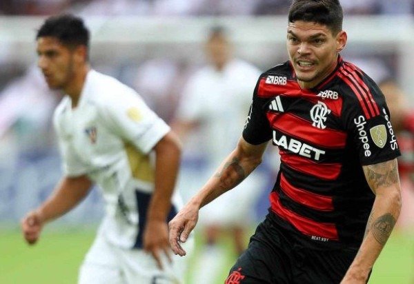 Foto: Gilvan de Souza/Flamengo