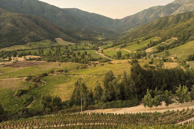 O Vale de Apalta é onde está localizado um dos vinhedos da vinícola Ventisquero