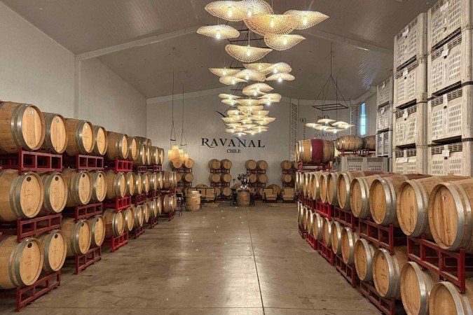 Na vinícola Ravanal
vinhos selecionados
são armazenados em
barris de carvalho