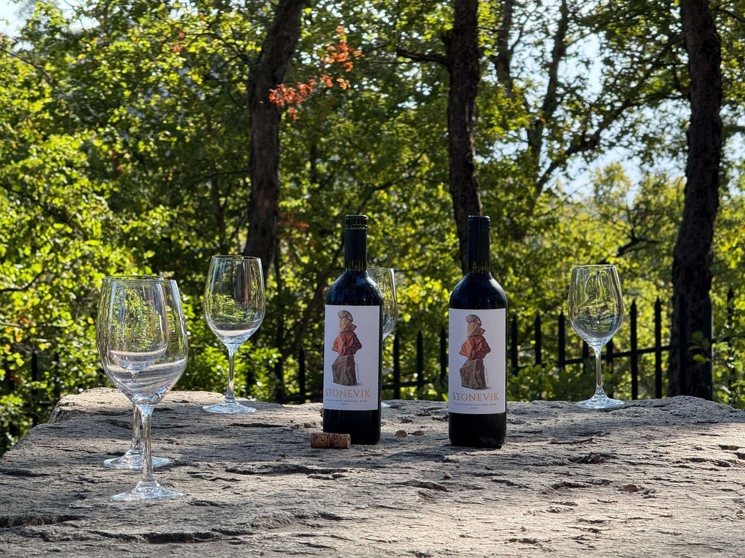 O Stonevik é um dos principais vinhos produzidos pela Vik Chile