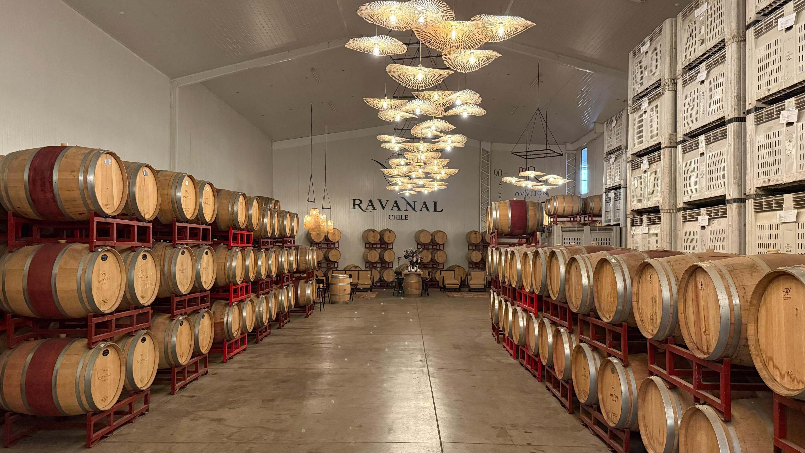 Na vinícola Ravanal vinhos selecionados são armazenados em barris de carvalho