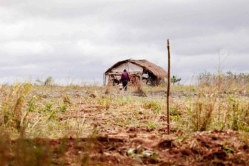 A violência contra a ocupação e a posse da terra foi a mais comum, representando 78% do total -  (crédito: Tânia Rêgo/Agência Brasil)