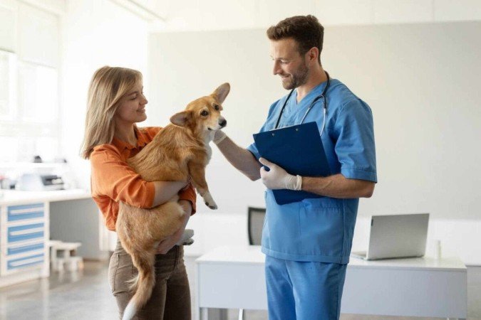 A primeira consulta veterinária é essencial para garantir o bem-estar dos animais de estimação (Imagem: fast-stock | Shutterstock) - (crédito: EdiCase) A primeira consulta veterinária é essencial para garantir o bem-estar dos animais de estimação (Imagem: fast-stock | Shutterstock) - (crédito: EdiCase)