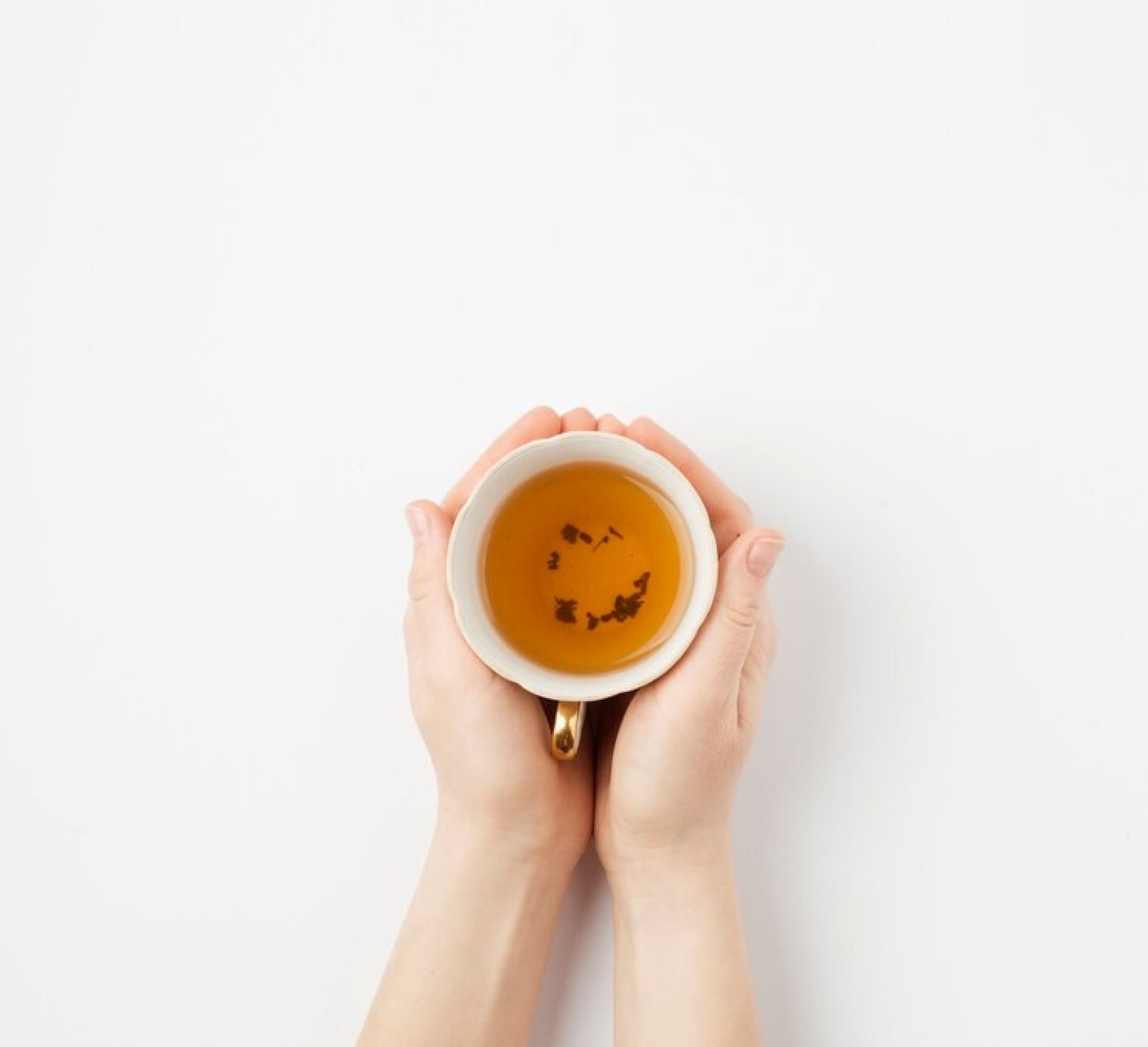 Melissa e erva-cidreira são a mesma coisa?