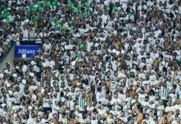 Foto: divulgação Palmeiras