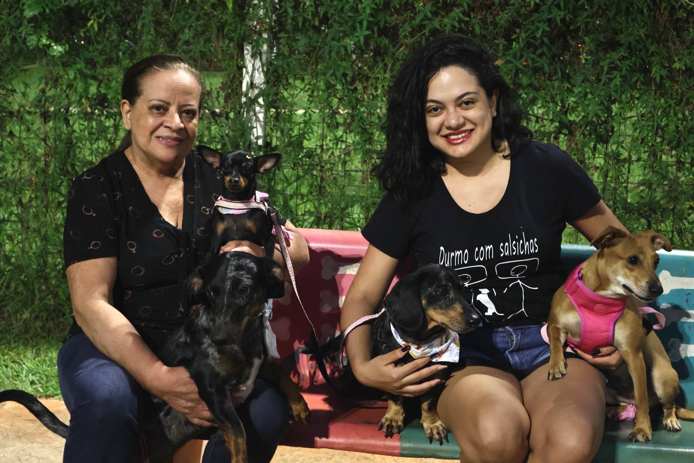  Novo RG para os pets que reúne dados para o planejamento de políticas públicas de bem-estar animal. 