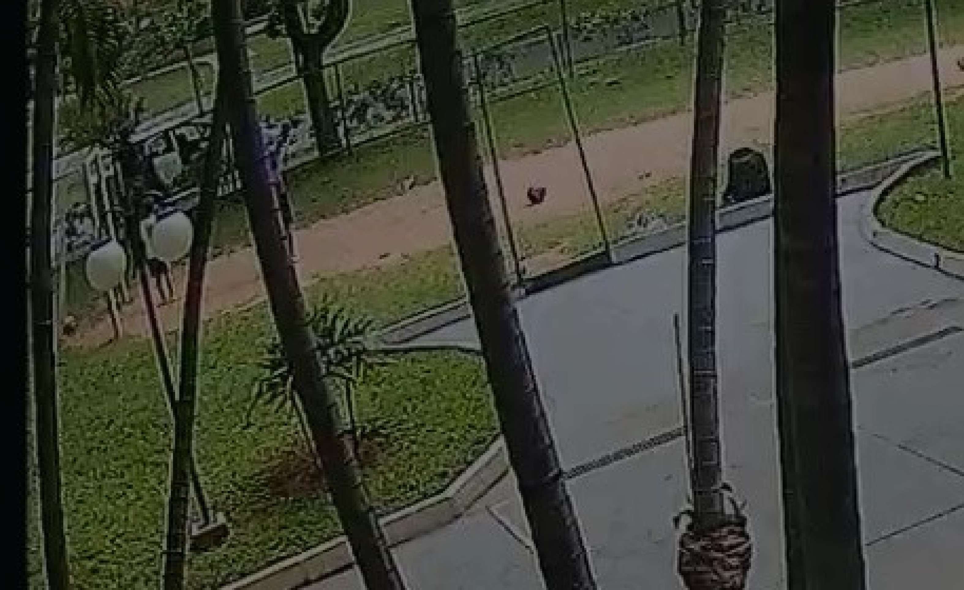 Mulher desmaia ao levar soco de companheiro no meio da rua, no Sudoeste