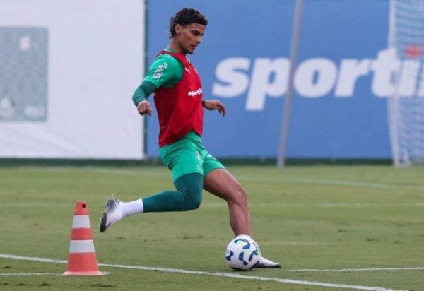 Cesar Greco/Palmeiras