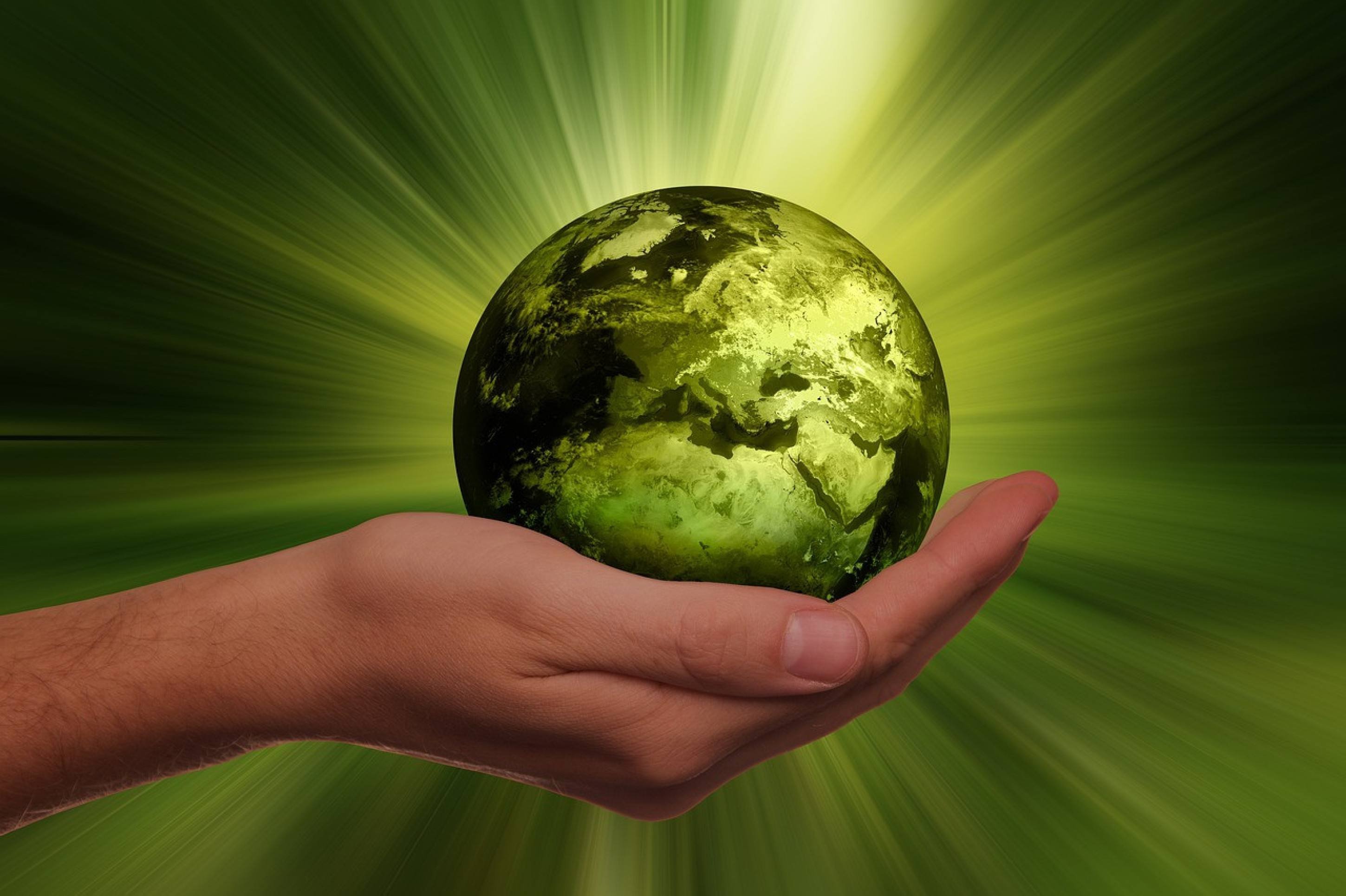 Mudanças de comportamento, a COP 30 e sustentabilidade cultural -  (crédito: Uai Turismo)