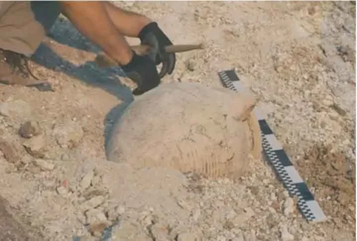 Arqueólogos descobrem sinais de cemitério da Idade da Pedra