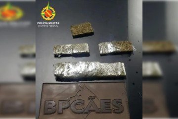 Cão farejador localizou tabletes de maconha na Rodoviária Interestadual -  (crédito: Divulgação/PMDF)