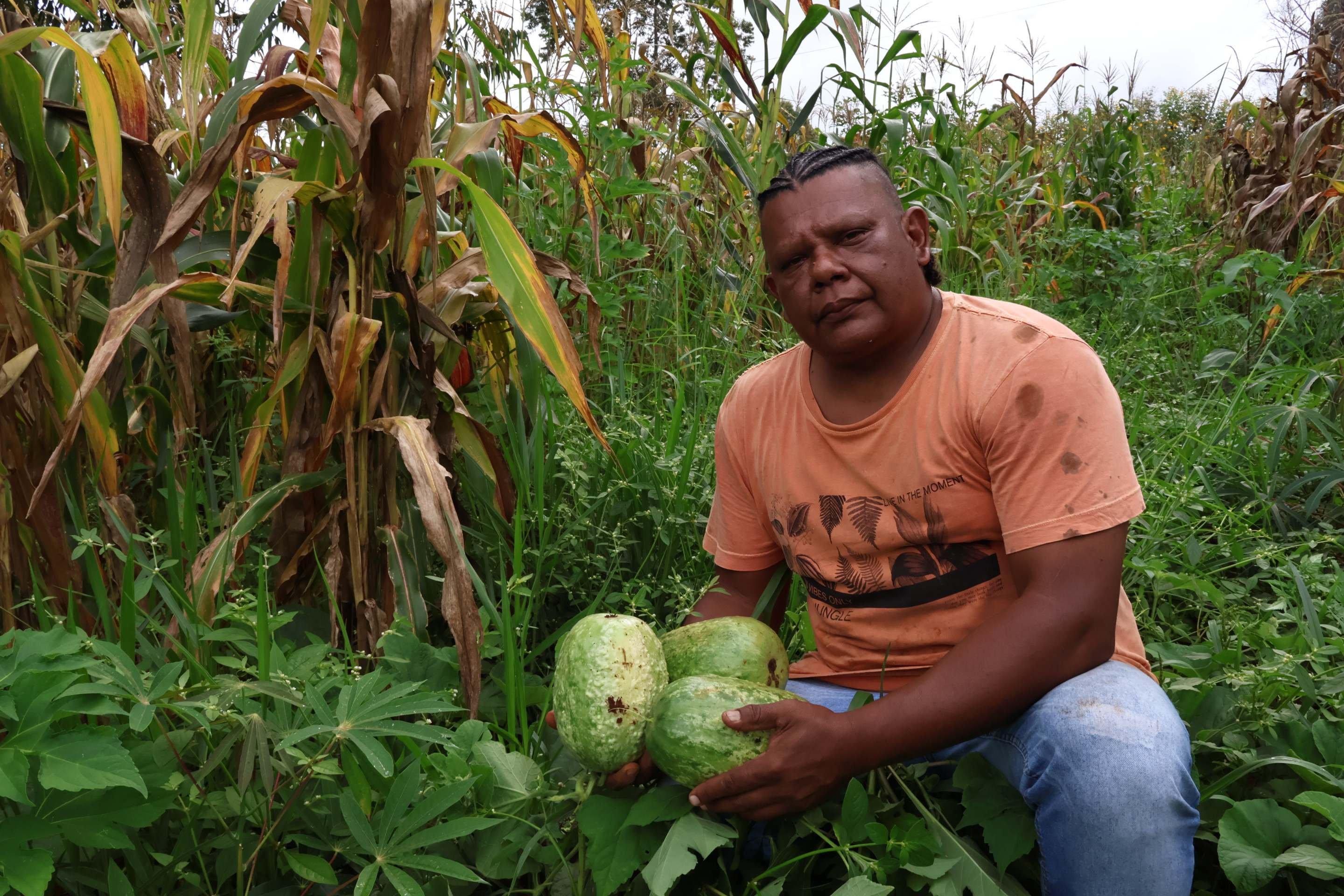 Dos povos originários para a mesa, PANCs ganham espaço no DF 