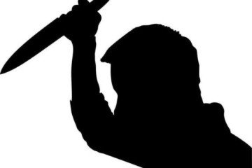 Ela foi atingida com golpes de facão nas pernas e nos braços -  (crédito: Gordon Johnson/Pixabay)