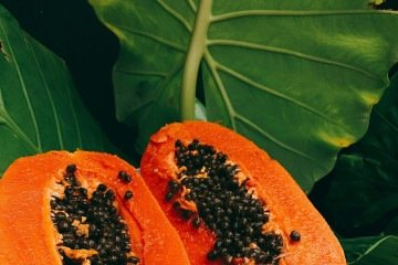 Sementes da fruta têm características específicas que podem afetar a fertilidade masculina - (crédito: Ilyuza Mingazova/Unsplash) Sementes da fruta têm características específicas que podem afetar a fertilidade masculina - (crédito: Ilyuza Mingazova/Unsplash)