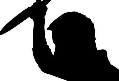Ela foi atingida com golpes de facão nas pernas e nos braços -  (crédito: Gordon Johnson/Pixabay)