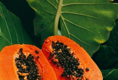 Sementes da fruta têm características específicas que podem afetar a fertilidade masculina  -  (crédito: Ilyuza Mingazova/Unsplash) -Sementes da fruta têm características específicas que podem afetar a fertilidade masculina  -  (crédito: Ilyuza Mingazova/Unsplash)