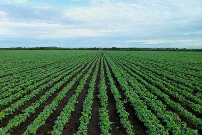 O principal setor que contribuiu para a alta do PBI foi a agropecuária, que apresentou um avanço de 12,2% - (crédito: Imagem de jestermaroc por Pixabay) O principal setor que contribuiu para a alta do PBI foi a agropecuária, que apresentou um avanço de 12,2% - (crédito: Imagem de jestermaroc por Pixabay)