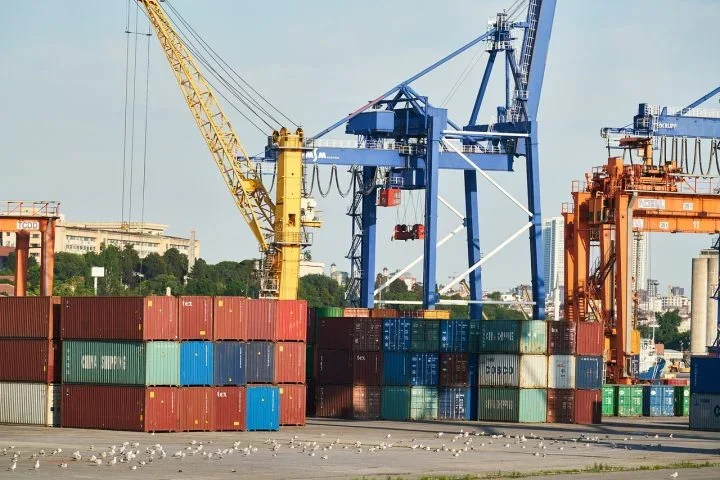 A China é a principal compradora do frango brasileiro, respondendo sozinha por 10,5% das importações em 2024, quando recebeu 562 mil toneladas - (crédito: Engin Akyurt/Pixabay ) A China é a principal compradora do frango brasileiro, respondendo sozinha por 10,5% das importações em 2024, quando recebeu 562 mil toneladas - (crédito: Engin Akyurt/Pixabay )
