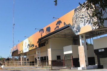 O credenciamento dos ambulantes é válido até 29 de junho -  (crédito:  PALOBORGES)