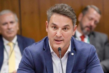 Segundo Zucco, excesso de judicialização compromete a independência entre os Poderes e enfraquece a autoridade do Legislativo -  (crédito: Marina Ramos/Câmara dos Deputados)