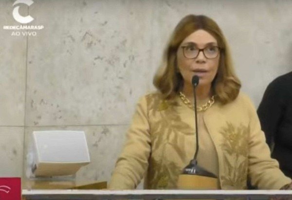 Divulgação/Câmara Municipal de São Paulo