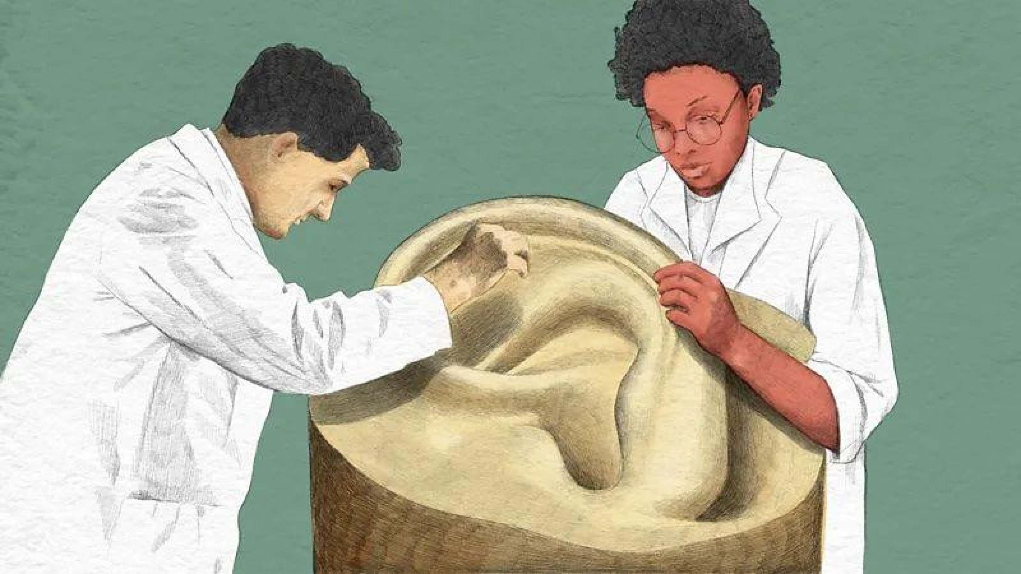 Uma das funções da cera do ouvido é impedir a entrada de fungos e bactérias, além de insetos -  (crédito: Emmnanuel Lafont/BBC)