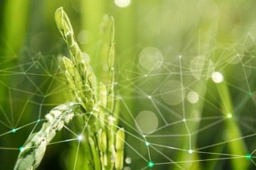 A iniciativa Diálogos pelo Clima terá desdobramentos em todos os biomas brasileiros ao longo de 2025 -  (crédito: Divulgação)