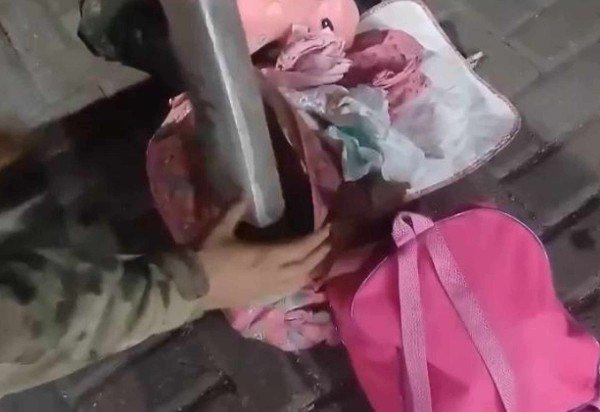Reprodução/Polícia Militar de Goiás