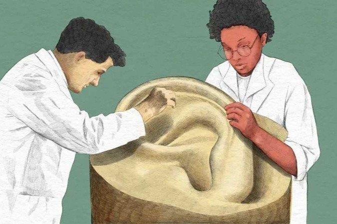 Uma das funções da cera do ouvido é impedir a entrada de fungos e bactérias, além de insetos - (crédito: Emmnanuel Lafont/BBC) Uma das funções da cera do ouvido é impedir a entrada de fungos e bactérias, além de insetos - (crédito: Emmnanuel Lafont/BBC)