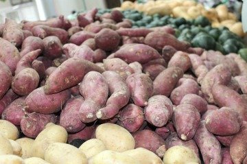 Nutritiva e versátil, batata-doce surpreende ao render até suco