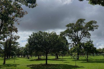 Temporada de seca adiada? - Blog | Nosso Parque da Cidade - 
