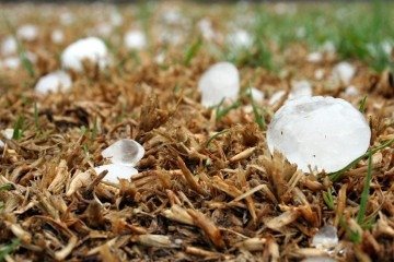 Chuva de granizo virou atração, mas pode causar estragos; veja como ela se forma!
