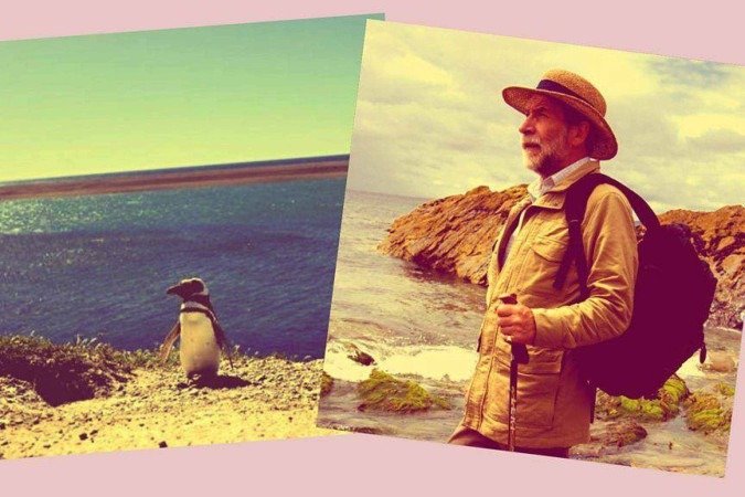 Tom usou detergente e manteiga para limpar o pinguim, que estava coberto de piche - (crédito: Getty Images) Tom usou detergente e manteiga para limpar o pinguim, que estava coberto de piche - (crédito: Getty Images)