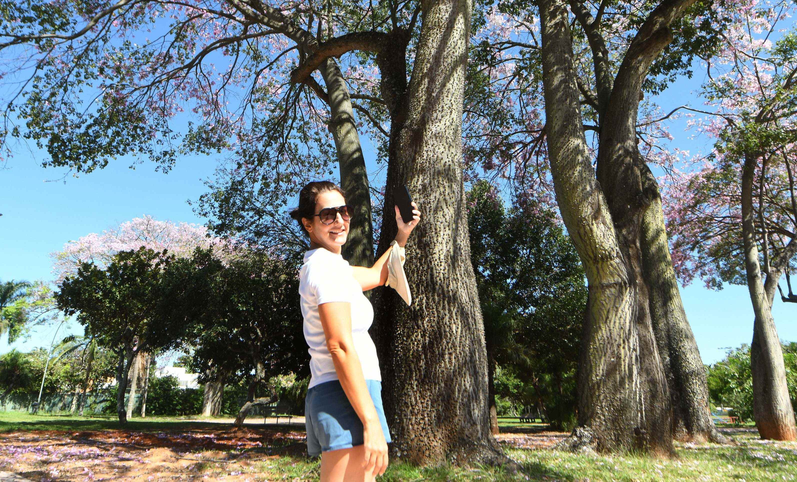  05/05/2025. Ed Alves CB/DA Press. Cidades. Arvore Paineira - Barriguda, Na foto, Silvia Seabra de Carvalho. QI 13 Lago Sul. 