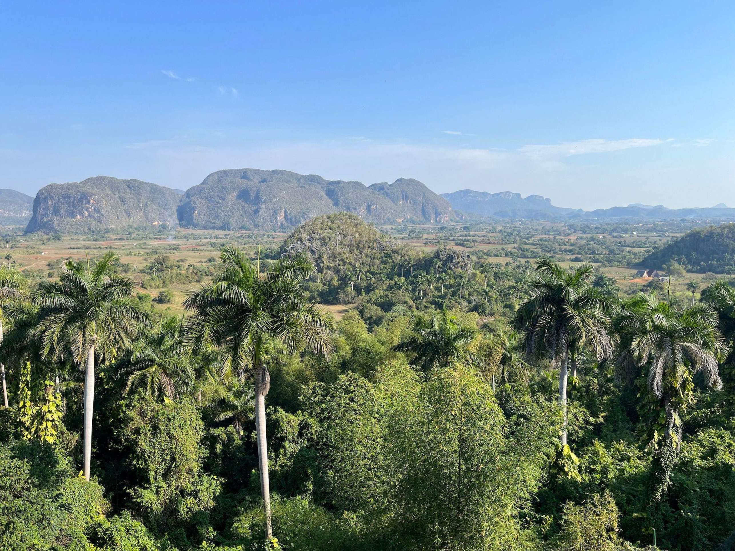 Como mudanças climáticas ameaçam produção de charutos em Cuba Como mudanças climáticas ameaçam produção de charutos em Cuba