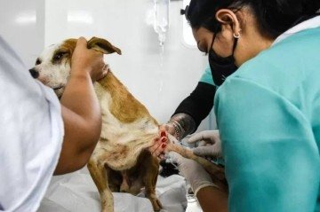 Serão oferecidas mil vagas para a região do Pôr do Sol -  (crédito: Agência Brasília)