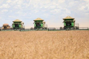 Soja lidera em área plantada no DF, seguida pelo milho; Na pecuária, Sobradinho e Ceilândia se destacam como principais produtores - (crédito: Foto: Divulgação/Emater-DF) Soja lidera em área plantada no DF, seguida pelo milho; Na pecuária, Sobradinho e Ceilândia se destacam como principais produtores - (crédito: Foto: Divulgação/Emater-DF)