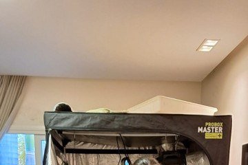 Estrutura sofisticada foi desmontada pela PCDF nesta manhã (8)