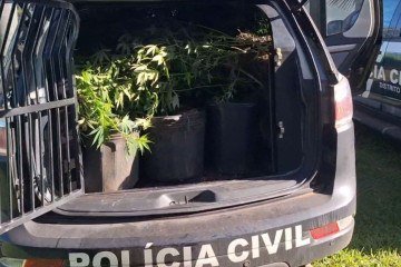 Estrutura sofisticada foi desmontada pela PCDF na manhã desta quinta-feira (8/5) - (crédito: Divulgação/PCDF) Estrutura sofisticada foi desmontada pela PCDF na manhã desta quinta-feira (8/5) - (crédito: Divulgação/PCDF)
