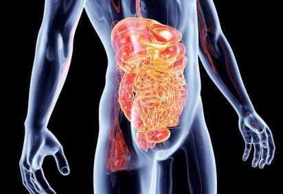 Na doença de Crohn, o sistema imunológico das pessoas responde de forma anormal a substâncias no intestino, causando inflamação e úlceras. -  (crédito: Antônio Augusto - Flickr)