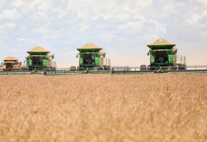 Secretário afirma que 40% da soja produzida no DF é destinada à fabricação de sementes premium, distribuídas para grandes regiões produtoras como Mato Grosso, Bahia, Goiás e Minas Gerais -  (crédito: Foto: Divulgação/Emater-DF) -Secretário afirma que 40% da soja produzida no DF é destinada à fabricação de sementes premium, distribuídas para grandes regiões produtoras como Mato Grosso, Bahia, Goiás e Minas Gerais -  (crédito: Foto: Divulgação/Emater-DF)