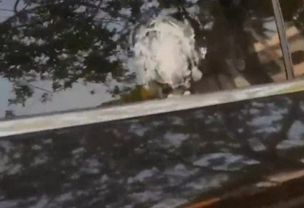 - Foto: Reprodução