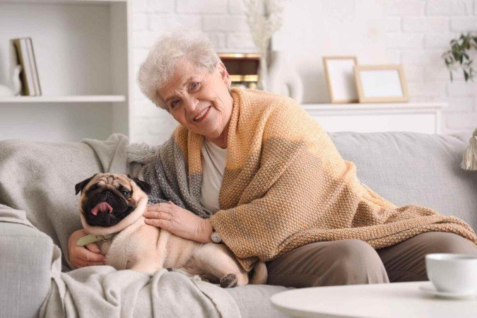 Algumas raças de cachorro são ideais para pessoas idosas (Imagem: Pixel-Shot | Shutterstock) - (crédito: EdiCase) Algumas raças de cachorro são ideais para pessoas idosas (Imagem: Pixel-Shot | Shutterstock) - (crédito: EdiCase)