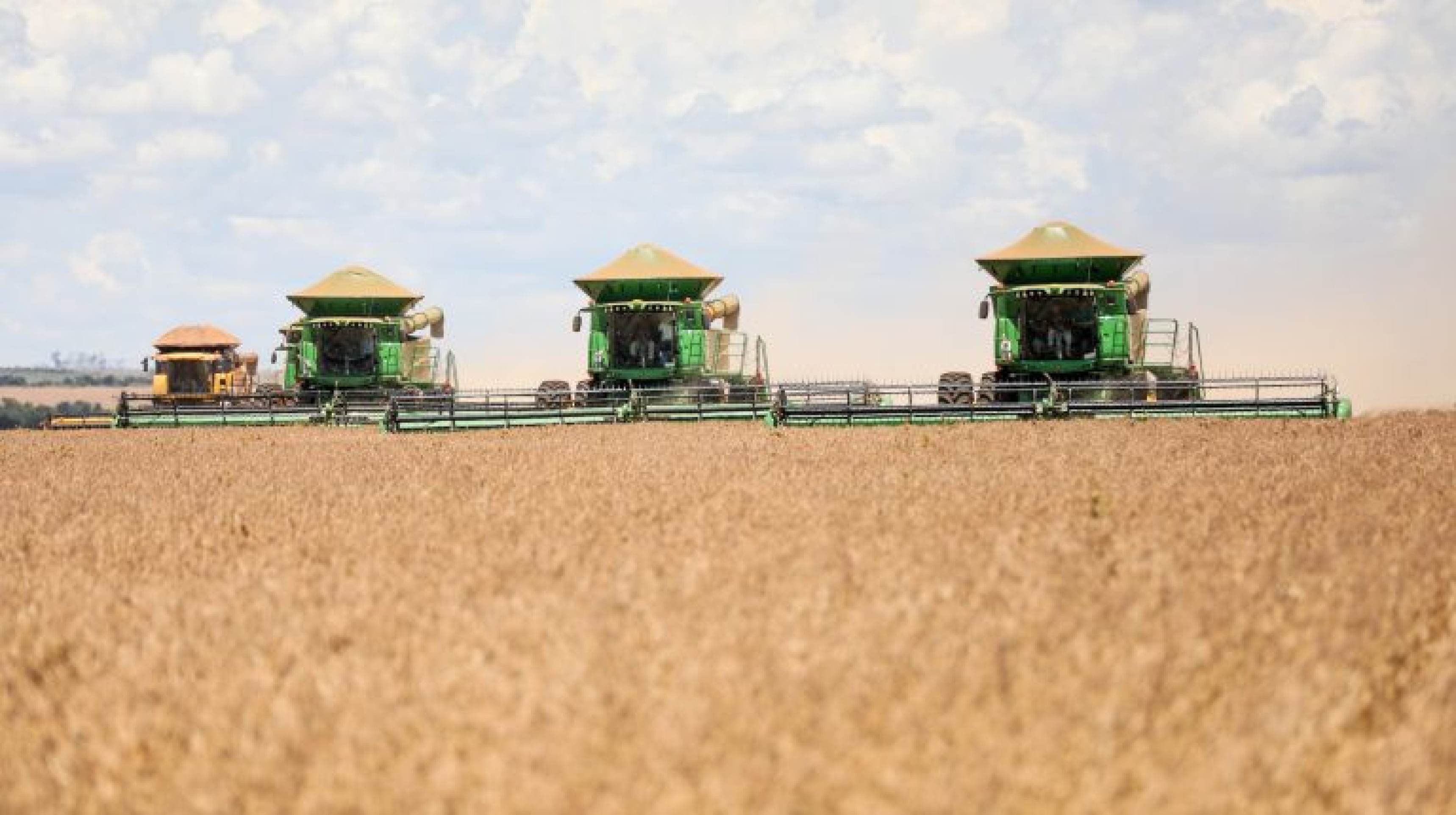 Emater divulga dados da agropecuária no DF e destaca produção regional Emater divulga dados da agropecuária no DF e destaca produção regional